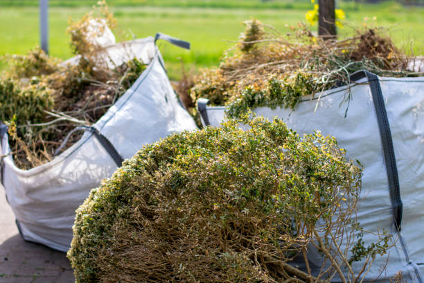 Best Local Junk Hauling  in Hamburg, IA